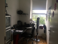 Sky@Eleven (D11), Condominium #202025952